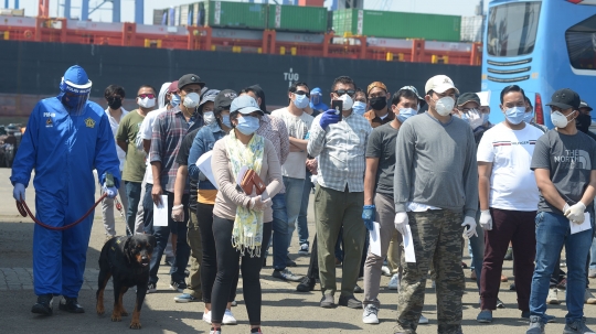 Ratusan WNI ABK Kapal MV Eurodam Tiba di Tanjung Priok