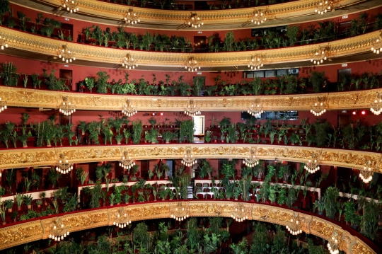 Bila Ratusan Tanaman Gantikan Manusia 'Tonton' Opera di Spanyol