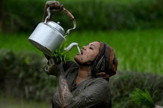 Keseruan Petani Nepal Merayakan Hari Padi Nasional