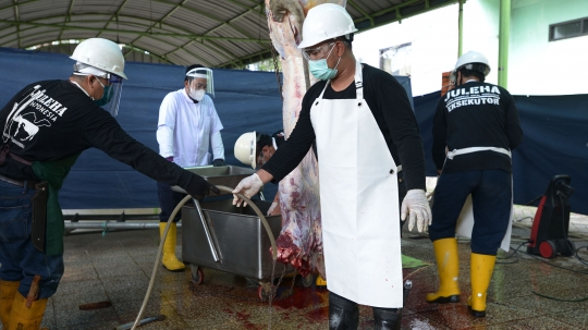 Melihat Simulasi Penyembelihan Hewan Kurban Selama Pandemi