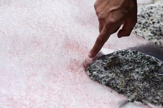 Penampakan Fenomena Es Berwarna Pink di Pegunungan Alpen
