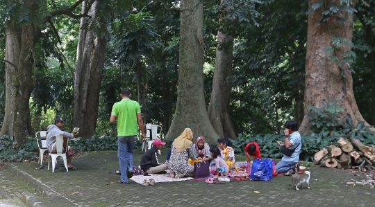 Kebun Raya Bogor Buka Kembali dengan Protokol Kesehatan