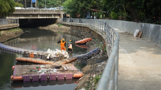 Kali Taman Anggrek Hitam dan Berbau