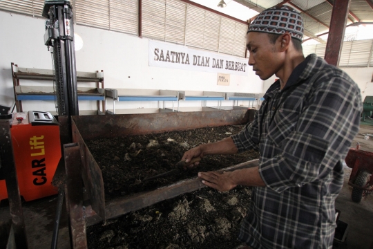 Melihat Budidaya Ulat Pemakan Sampah