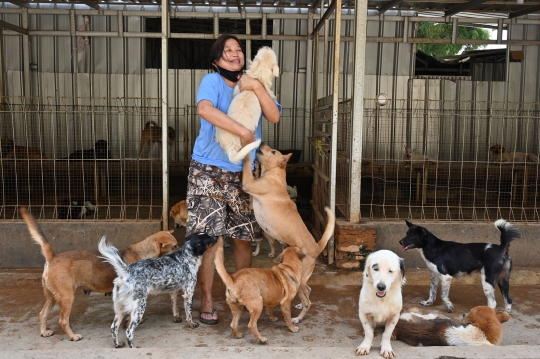 Kisah Dokter Selamatkan Anjing dari Dampak Pandemi