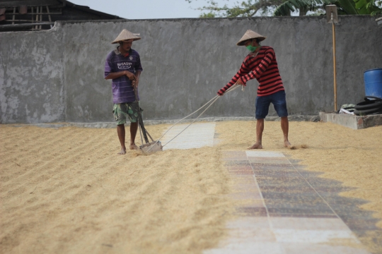 Serapan Gabah Petani 2020