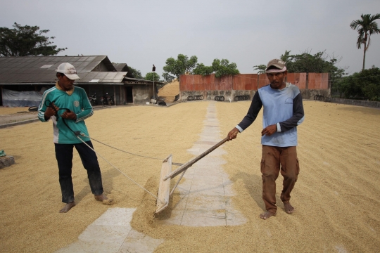 Serapan Gabah Petani 2020