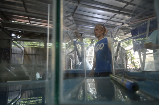 Pesanan Aquarium Meningkat 100 Persen Saat Pandemi