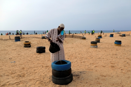 Aksi Menghutankan Kembali Garis Pantai di Senegal