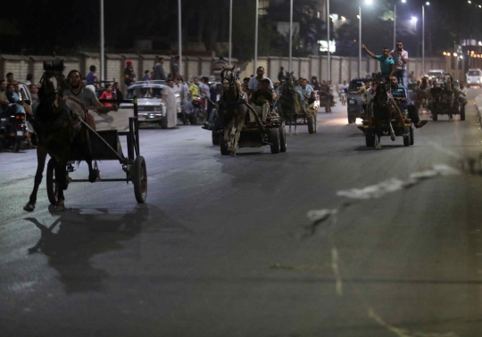 Aksi Pedagang Mesir Unjuk Kekuatan Kudanya Balapan Menarik Kereta