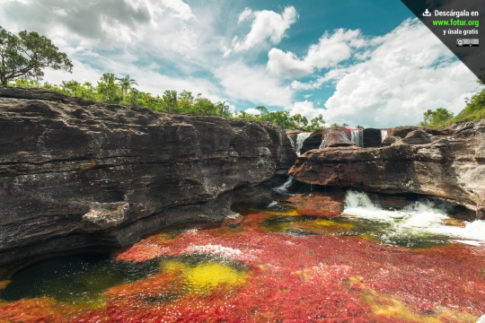 Keunikan Sungai Lima Warna Cano Cristales di Kolombia