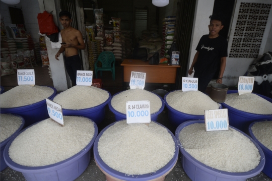 Stok Beras Nasional Masih Aman di Tengah Pandemi