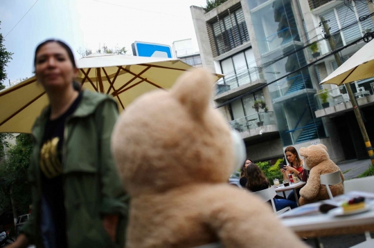 Saat Teddy Bear Jadi Pembatas Antar Pengunjung Restoran di Meksiko