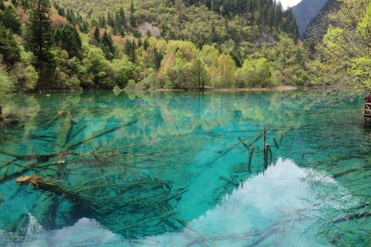 Keindahan Situs Warisan Dunia Jiuzhaigou, Salah Satu Lembah Terindah Dunia