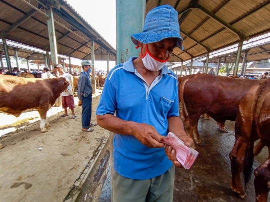 Menengok Kesibukan Pasar Hewan Ambarawa Jelang Idul Adha