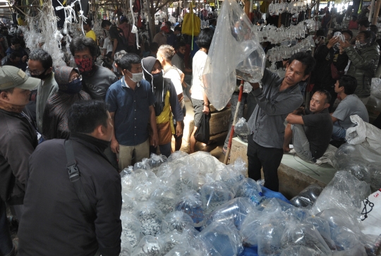 Tak Ada Jaga Jarak, Pengunjung Berdesakan di Pasar Ikan Hias Parung