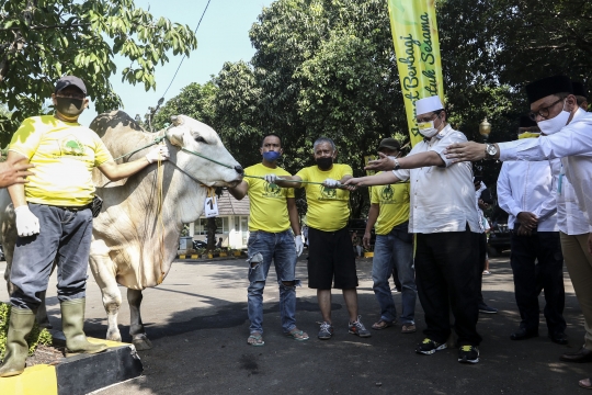 Partai Golkar Sembelih 37 Hewan Kurban untuk Dibagikan