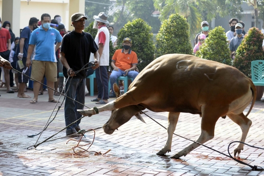 Kebersamaan Warga Potong Daging Kurban