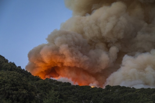 Bak Gunung Meletus, Begini Kondisi Kebakaran Hutan di Amerika Serikat