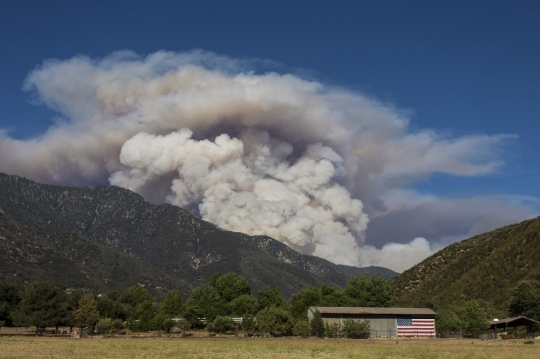 Bak Gunung Meletus, Begini Kondisi Kebakaran Hutan di Amerika Serikat