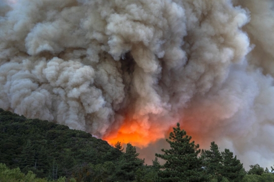 Bak Gunung Meletus, Begini Kondisi Kebakaran Hutan di Amerika Serikat