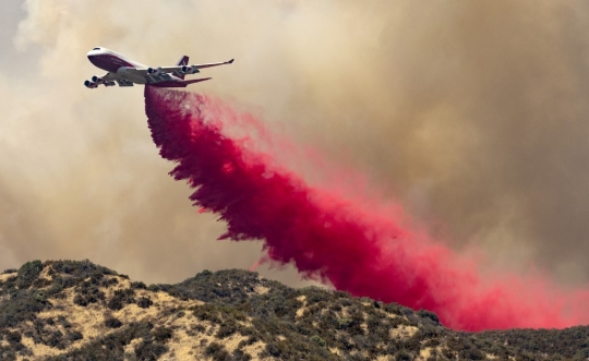 Bak Gunung Meletus, Begini Kondisi Kebakaran Hutan di Amerika Serikat