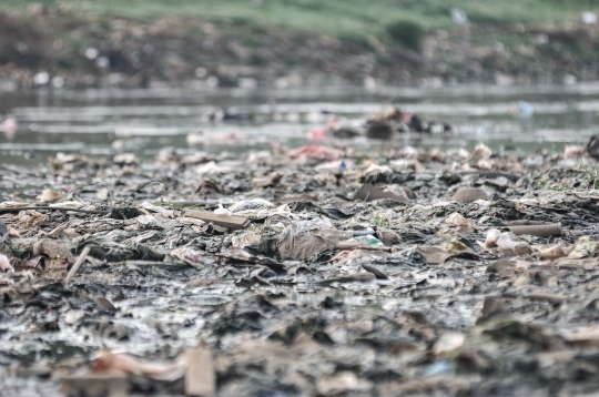 Kemarau, Tumpukan Sampah Muncul ke Permukaan Kanal Banjir Barat