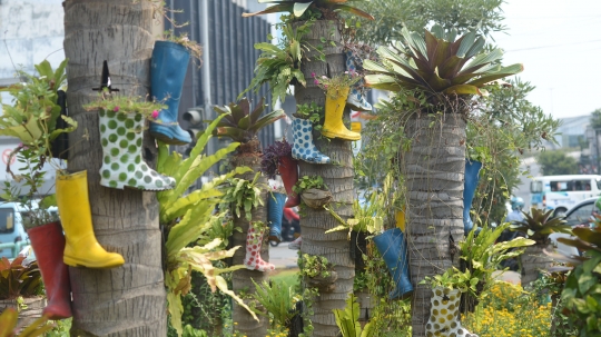 Unik, Taman di Kota Tua Dipasangi Pot dari Sepatu Boot