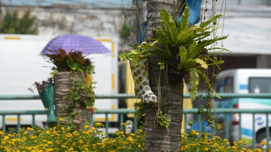 Unik, Taman di Kota Tua Dipasangi Pot dari Sepatu Boot