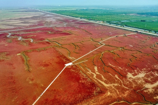 Melihat Keindahan Pantai Merah dari Ketinggian