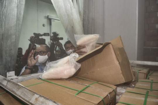 KKP dan Polri Gagalkan Penyelundupan 54,9 Ton Ikan Patin Ilegal
