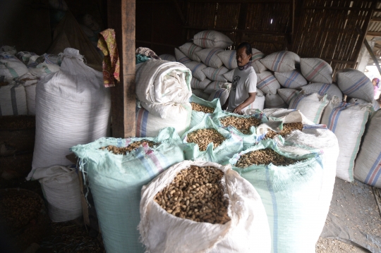 Menengok Produksi Kacang Sangrai di Tangerang Selatan