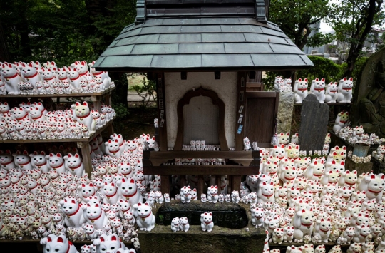 Mengunjungi Kuil dengan Ribuan Patung Kucing Keberuntungan di Tokyo