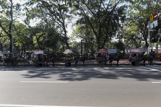 Wisata Keliling Monas Naik Delman