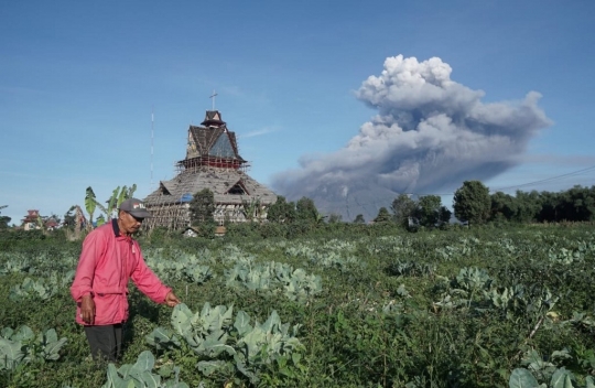 Erupsi Lagi, Sinabung Berstatus Siaga