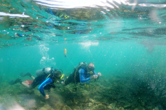 Aksi Penyelam Difabel Bersihkan Sampah Plastik di Laut Mediterania