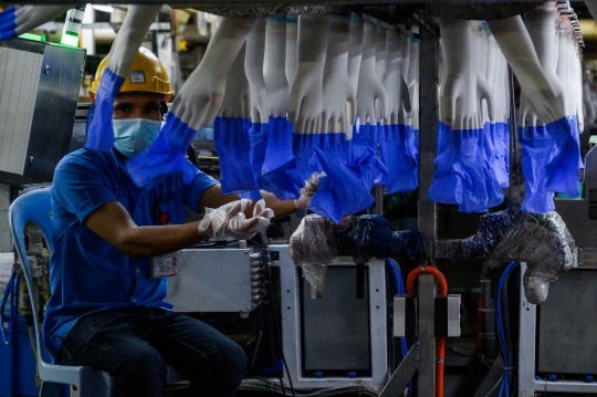 Melihat Pembuatan Sarung Tangan Sekali Pakai di Malaysia