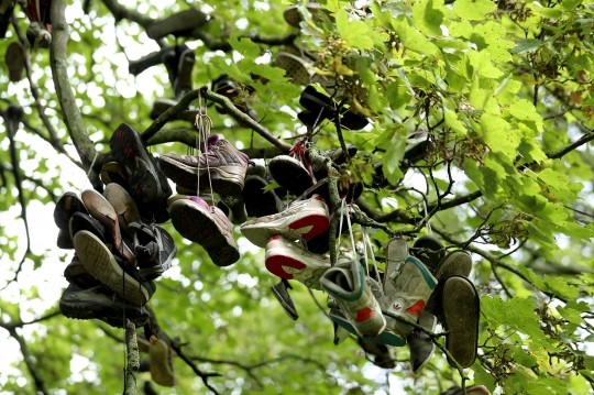 Uniknya Pohon dengan Ratusan Sepatu Menggantung