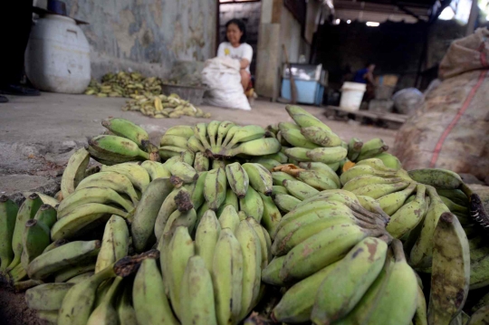 Intip Dapur Pengolahan Pisang Menjadi Keripik di Parung