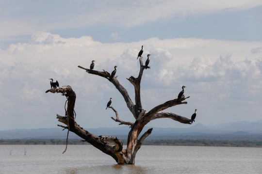 Luapan Danau Baringo Banjiri Sejumlah Kawasan di Kenya