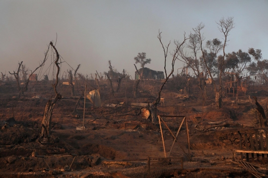 Kamp Penampungan Imigran di Yunani Ludes Terbakar