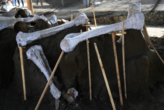 Melihat Penggalian Kerangka Mammoth 25.000 Tahun di Meksiko
