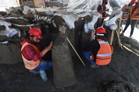 Melihat Penggalian Kerangka Mammoth 25.000 Tahun di Meksiko