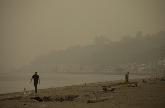 Kabut Asap Kebakaran Hutan Selimuti Washington