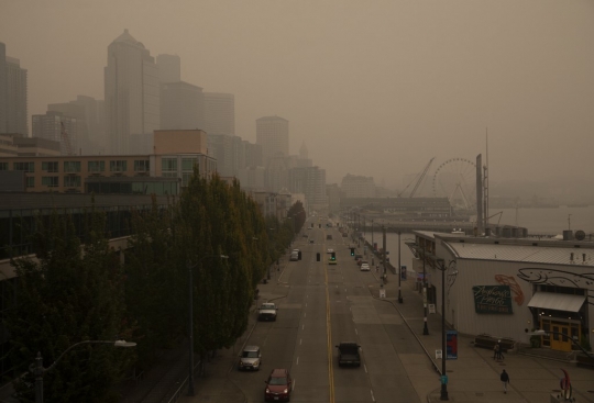 Kabut Asap Kebakaran Hutan Selimuti Washington