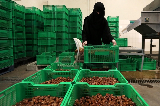 Intip Pabrik Kurma Saudi yang Dijalankan Sepenuhnya oleh Wanita