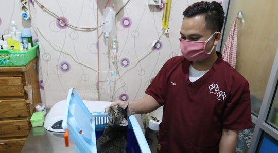 Vaksin Gratis Menyambut Hari Rabies
