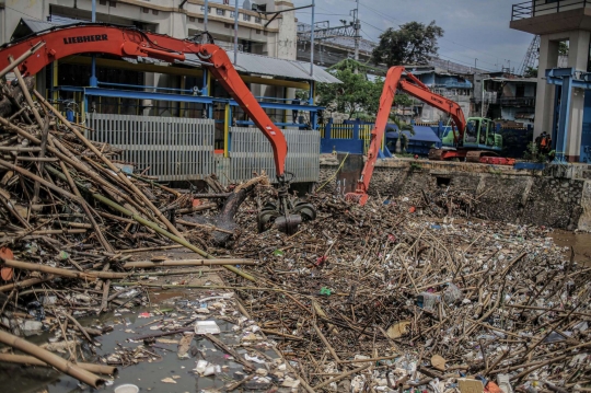 Sampah Kayu Kiriman Menumpuk di Pintu Air Manggarai