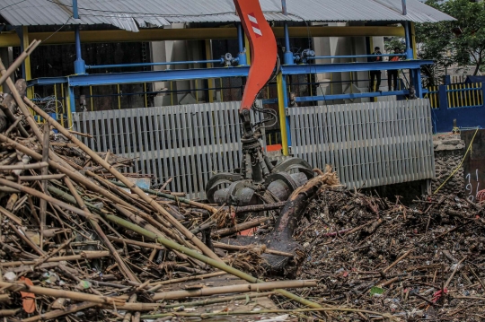 Sampah Kayu Kiriman Menumpuk di Pintu Air Manggarai