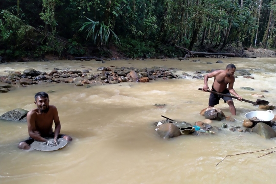 Potret Penambang Emas di Sungai Papua